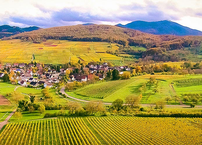 Schon Goethe schwärmte vom Markgräflerland 8