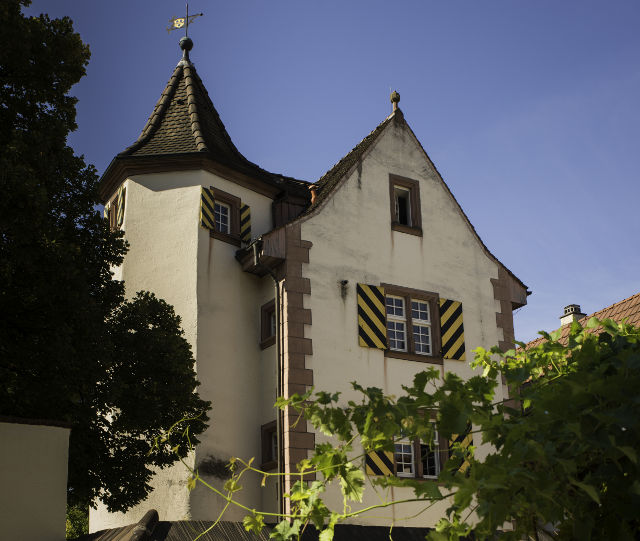 Burgen & Schlösser 5