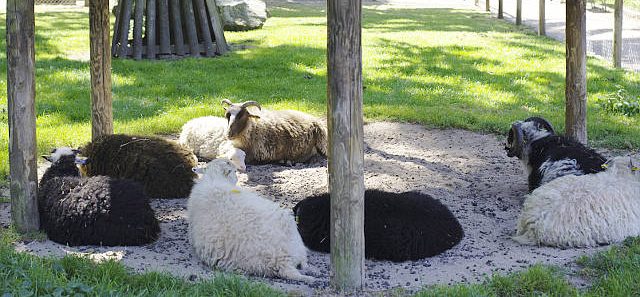 Tierparks & Zoos 5