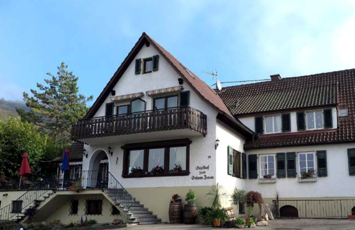Gastrotipp: Der Landgasthof „Grüner Baum“ in Badenweiler-Sehringen 9